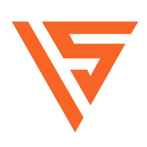 VSM Sports Volleyball Clinic - logo